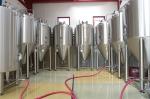1000L 50L Beer Brewing Equipment Pub Micro Brewery Equipment For Sale