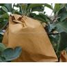 Buy cheap Mango Growing Paper Bag Manufacturing Machine , Fruit Protective Kraft Paper Bag Making Machine from wholesalers