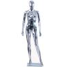 Buy cheap Fashion High Quality Mannequin Body Stand Height 176cm from wholesalers