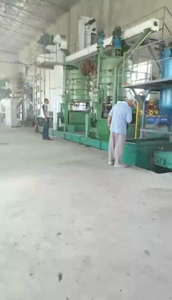 Buy cheap 500-600 Kg per hour oil pre-press pressing extraction line machine from wholesalers