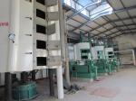 Longer Automatic Screw Sunflower Oil Press Machine/Sunflower Oil Refining