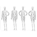High Quality Male Manikin Transparent Mannequins female display Full Body Clear