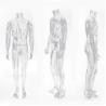 Buy cheap Hot sale plastic full body male Transparent headless mannequin for clothes display from wholesalers