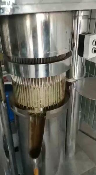 Buy cheap 100Kg Per Hour Flax Sesame Walnut expeller Hydraulic oil press cold press from wholesalers