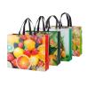 Buy cheap Competitive Price Eco-Friendly Non Woven Shopping Bag Supplier from wholesalers