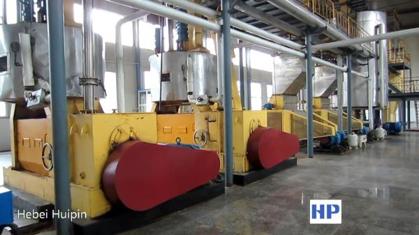 industrial oil expeller cotton seed or flower seed edible oil pre- press machine