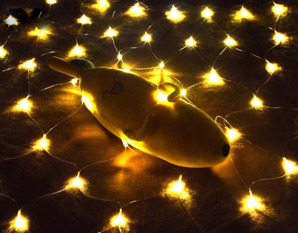 Buy cheap 96 LEDs 144 LEDs Net Mesh Fairy String Light Christmas Holiday Light from wholesalers