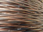 Urd Low Voltage Electrical Cable / Low Voltage Underground Wire PVC Jacket