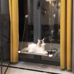 Cat Hammock Pet Supplies Suction Cup Cat Window Seat Cat Climbing Frame Strong