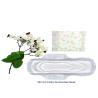Buy cheap White PE Backsheet Winged Hypoallergenic Sanitary Pads For Heavy Bleeding from wholesalers