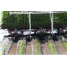 Buy cheap 3.68kw Rice Plantation Machine , 6 Rows Tractor Operated Paddy Transplanter from wholesalers