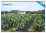Durable Anti-UV Agriculture Non Woven Cover Fabric 100% PP Non Woven