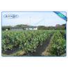 Buy cheap Eco - Friendly Agriculture Non Woven Cover , UV Stabilized Agriculture PP Nonwoven from wholesalers