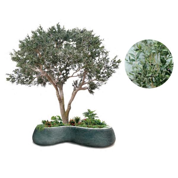 Custom Large Artificial Olive Tree 3-8m | Commercial Grade Faux Olive Plant