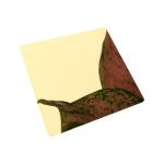 316 Stainless Steel Sheet Metal 0.8mm Thickness Gold Plated RoSH Approved