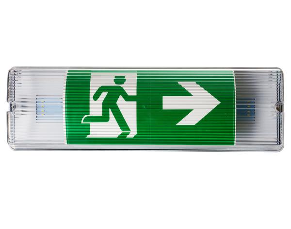 Quality IP65 Waterproof Rechargeable Emergency Light Surface Mount for sale