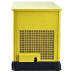 20KW LPG Natural Gas Gasoline Generator with Electric Starting and 380V Rated