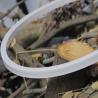 Buy cheap Natural White 4000K Ra93 2-step with vertical bending LED strip from wholesalers