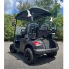 Buy cheap 2 Passenger Golf Cart Electric 4kw Power Small Off Road Premium Quality 60V 100AH from wholesalers