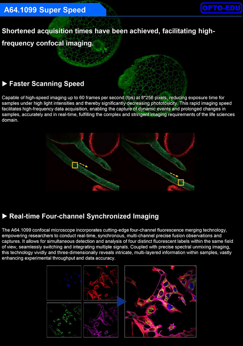 OPTO EDU A64.1099 Full Auto Semi APO Laser Confocal Microscope