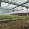 Buy cheap Multi-Span Tunnel Po Film Greenhouse 30 Days Return Refunds US Currency Greenhouse from wholesalers