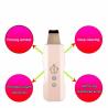 Buy cheap 2in1 Anion Ultrasonic Scrubber Portable Skin Scrubber Cleaner Beauty Skin Scrubber Facial Skin Rejuvenation Beauty from wholesalers