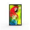 Buy cheap Water Resistant HDMI Commercial Digital Screens 49 Inch Ultrawide Monitor from wholesalers