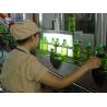 Buy cheap Fruit Juice Beverage Production Machine Automatic Water Bottling Machine from wholesalers