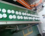 AS PPSN PBT Bathtub Home Appliance Mould 800T Injection