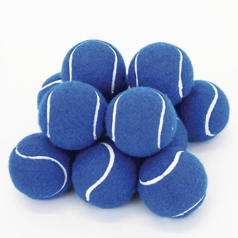 dog toy ball