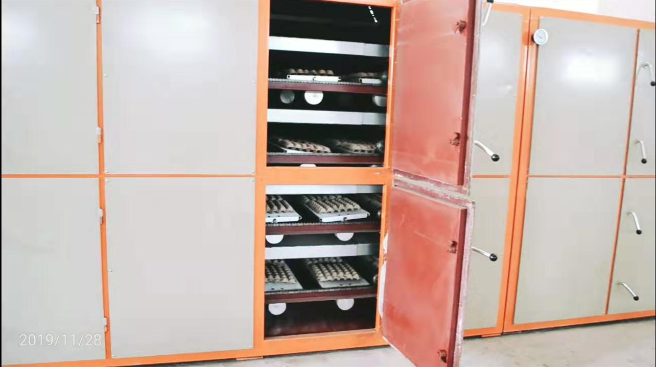 200KW paper recycling machine Paper Eggs 2000pcs Pulp Tray Machine
