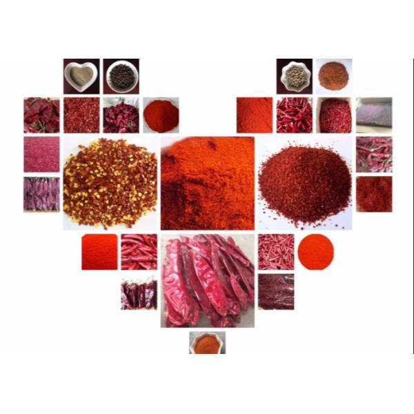 Zero Additive Red Bullet Chilli Sterilized 4CM Dehydrating Chillies