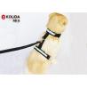 Buy cheap Nylon Safety Glow LED Dog Harness Glow In The Dark Dog Harness Leash from wholesalers