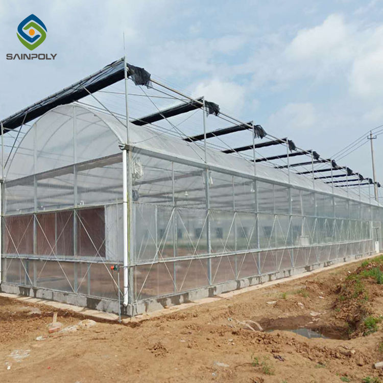 Custom 0.35KN/M2 33ft Tomato Polyethylene Film Greenhouse
