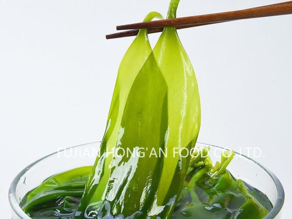 HACCP Certified Green Umami Kelp Sprouts for Japanese and Korean Restaurant