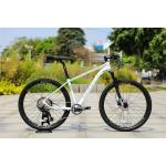 Durable 11speed Oil Brake Mountain Bike with High Cost Performance and Ordinary