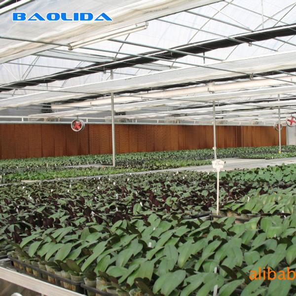 Buy cheap Multi-Span Greenhouse High Tunnel 200 Micron Polyethylene Film Greenhouse from wholesalers