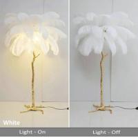 Buy cheap Living Room Novelty Resin Stand 80w Ostrich Feather Lamp product