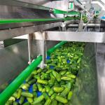 Automatic Canned cucumber Vegetable Cans production line Equipment Customized