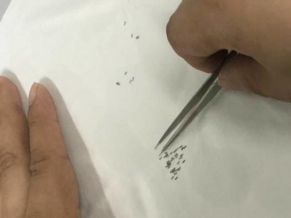 Buy cheap Medical device micro machining for OEM contract manufacturing from wholesalers