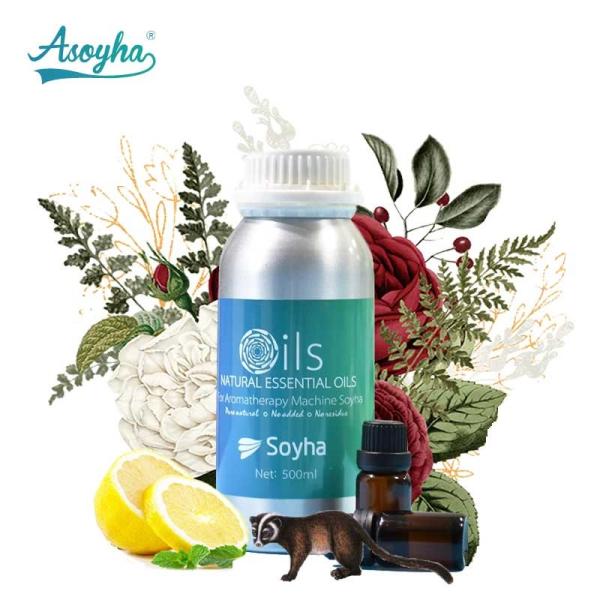 Buy cheap Oil Soluble Plant Essential Oil For Hotel , Clubhouse Purifying Air from wholesalers