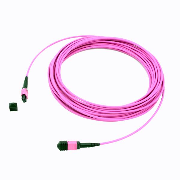 Buy cheap 24F 40G Male OM4 MPO cable from wholesalers