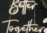 60cm Neon Lighted Sign 110v Sitting Waterproof Neon Sign