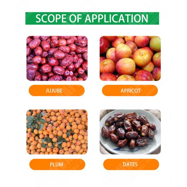 long service life litchi peeling and pitting machine