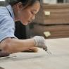 Buy cheap Hotel Decoration Fancy Plywood Of High Quality Natural Walnut Burl 2800mm Lengthened Size China Manufacturer from wholesalers