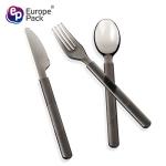 Eco-Friendly Dessert Plastic Knife Fork Spoon Ps Plastic Disposable Cutlery