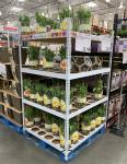 Ez Racks Danish Flower Trolley Ez Container Factory