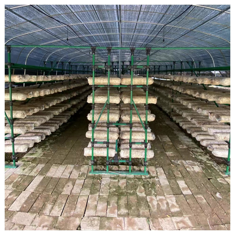Polycarbonate Light Deprivation Mushroom Greenhouse Blackout With Irrigation System