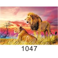 Buy cheap Custom 3D Lenticular Printing 60*80cm / Wall Poster 3D Animals Photos product