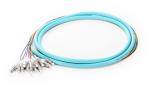 Sc LC FC St MTRJ Connectors Fiber Optic Pigtail 12 Core Indoor FTTH Optical